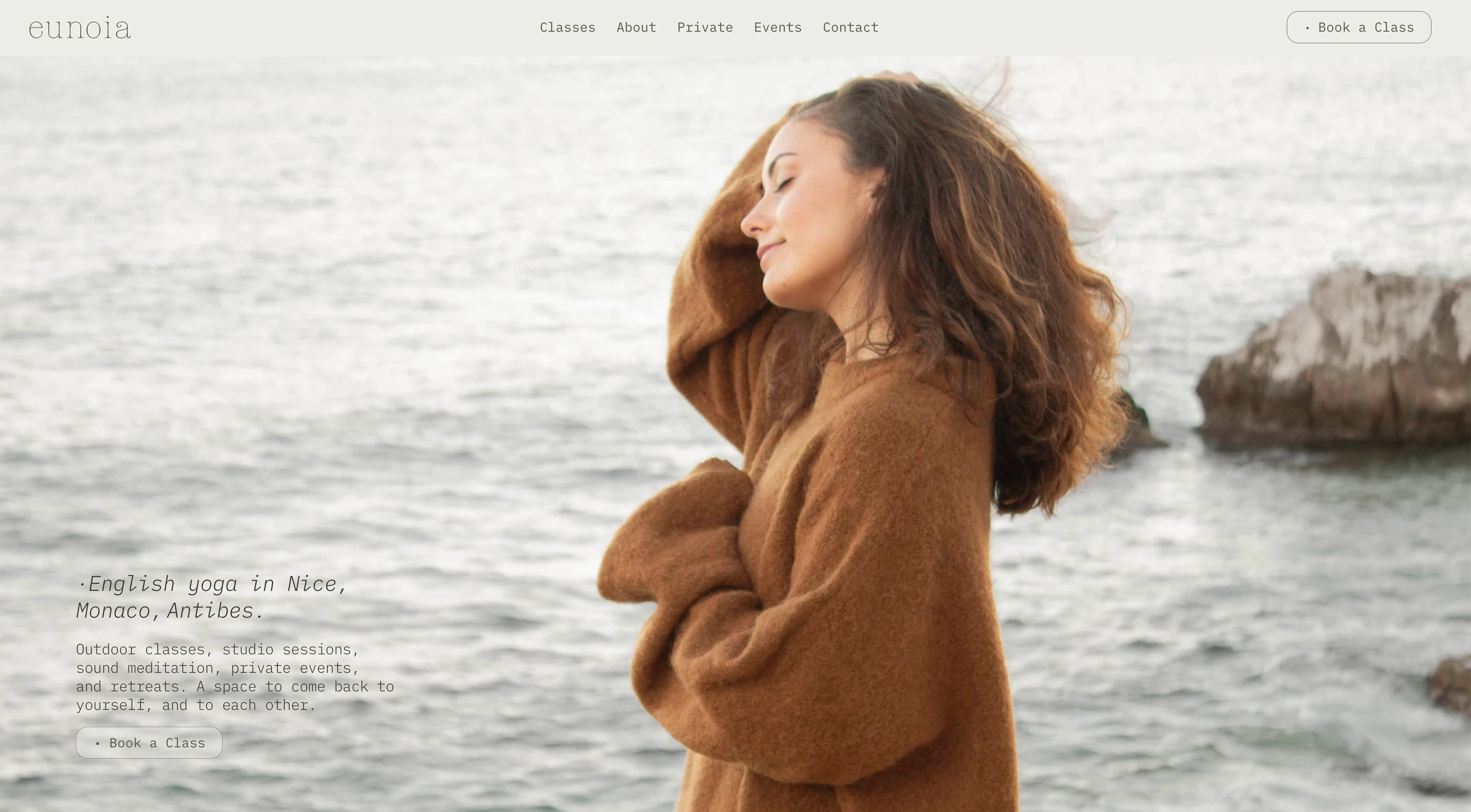 Website screenshot 2